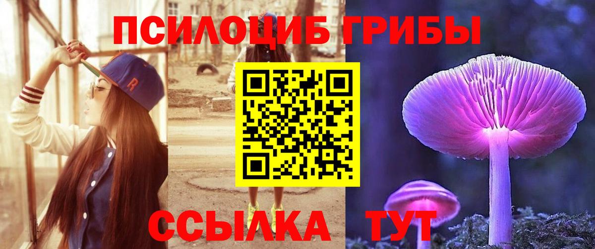 где купить наркоту  Псилоцибиновые грибы Magic Shrooms  Вход с VPN  Менделеевск 