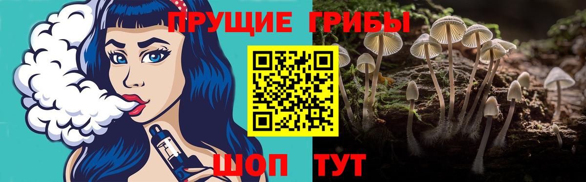Галлюциногенные грибы GOLDEN TEACHER Менделеевск